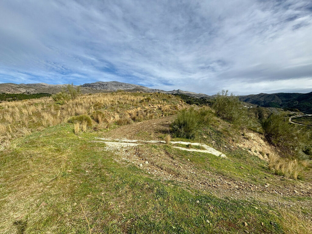Land Sedella Málaga - Bild 5