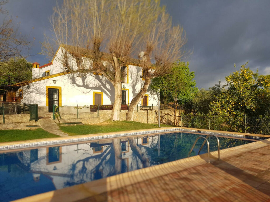 Finca - Cortijo Ronda Málaga - imagen 5