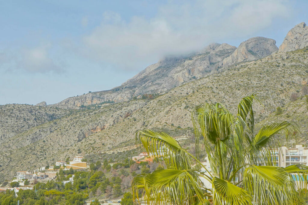 Detached Villa Altea Alicante - imagen 50