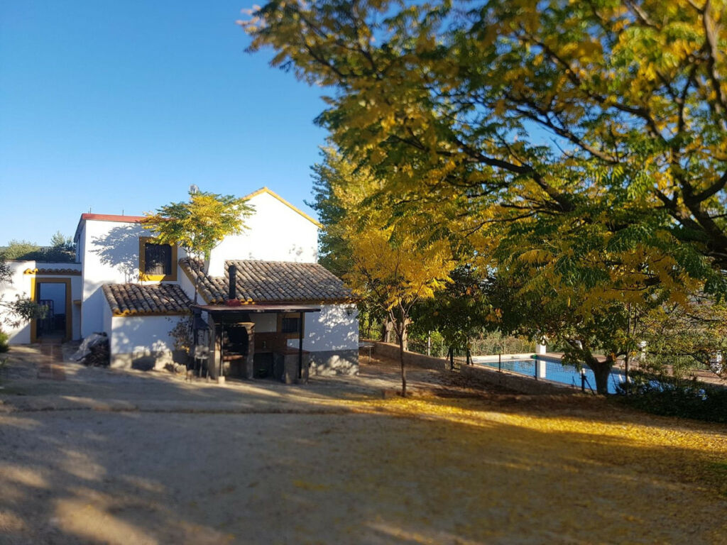 Finca - Cortijo Ronda Málaga - imagen 6