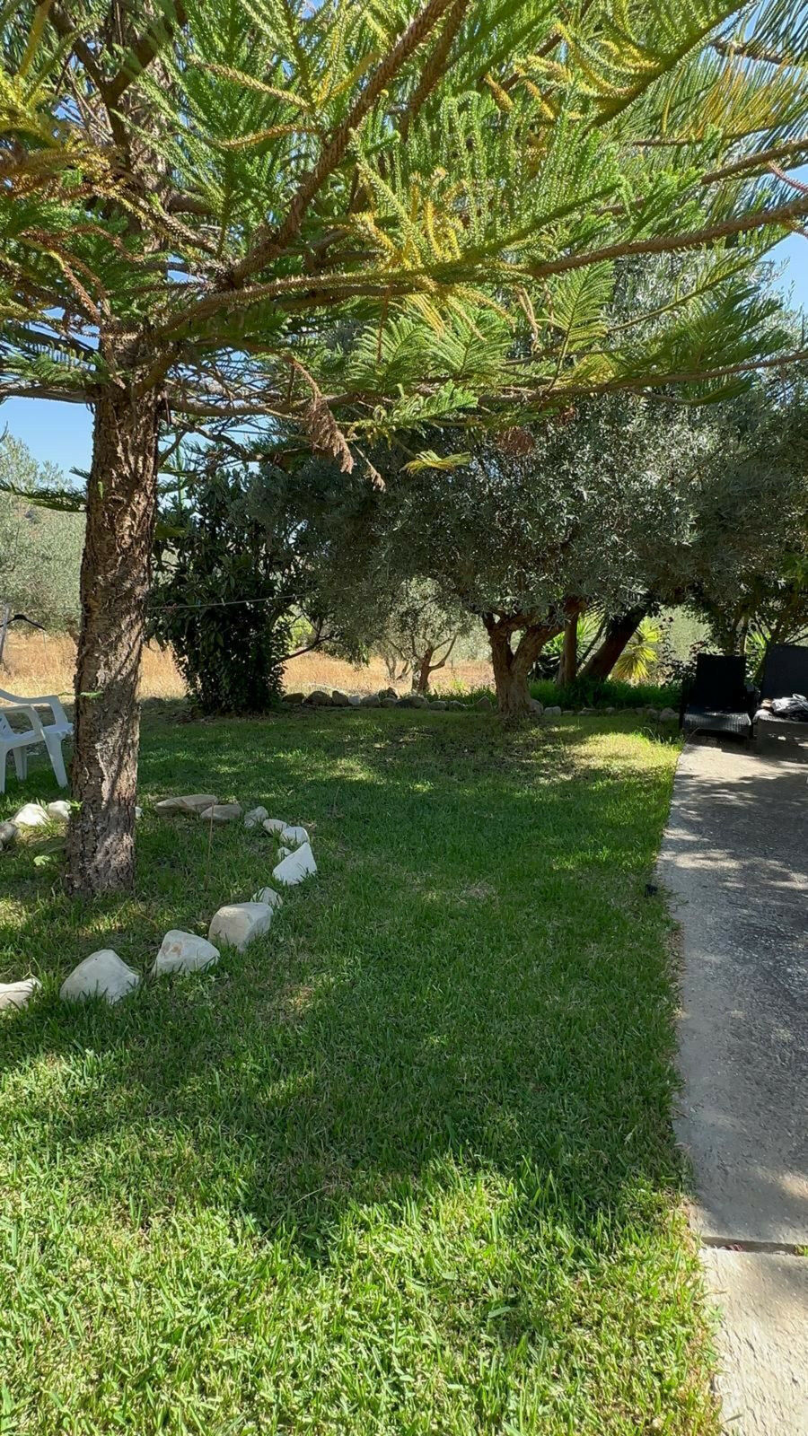 Finca - Cortijo Monda Málaga - imagen 8