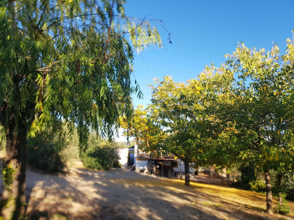 Finca - Cortijo Ronda Málaga - imagen 9