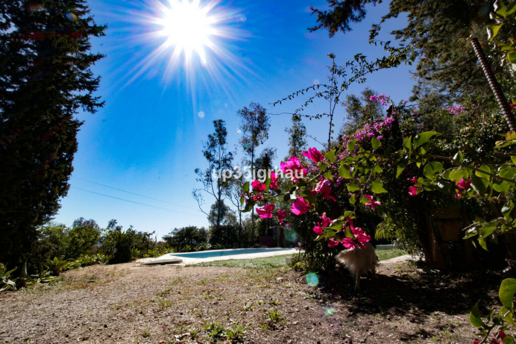 Detached Villa Gaucín Málaga - imagen 9