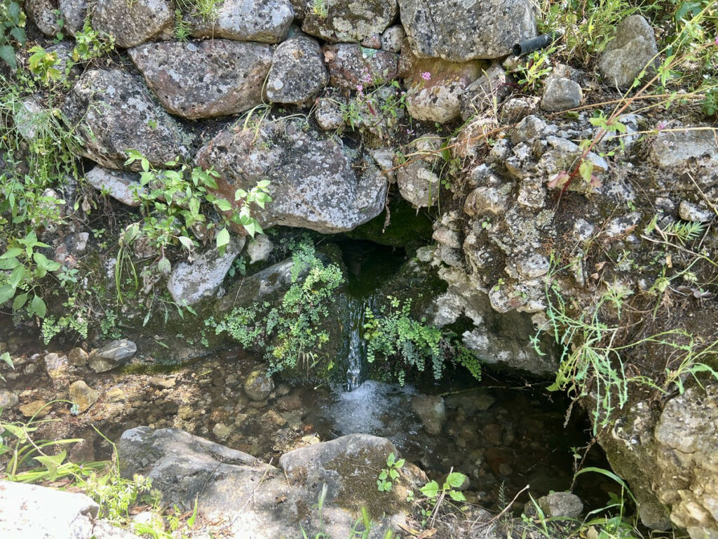 Finca - Cortijo Istán Málaga - imagen 10