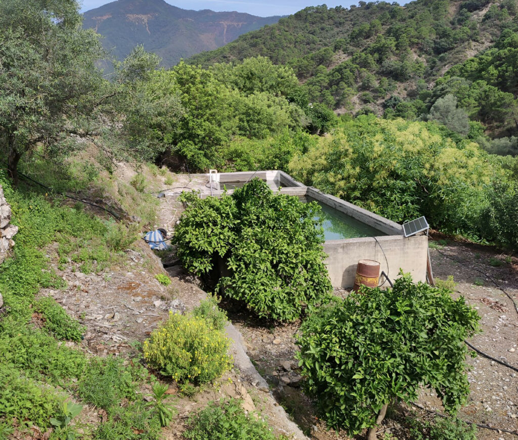 Finca - Cortijo Istán Málaga - imagen 12