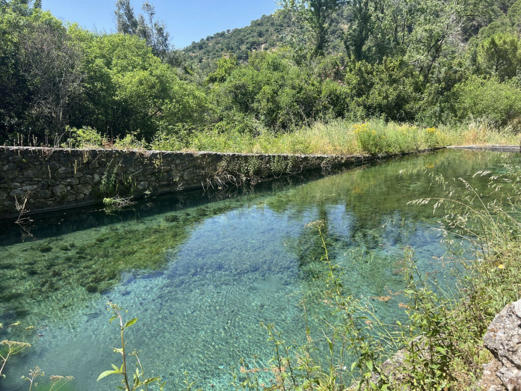 Finca - Cortijo Istán Málaga - imagen 11