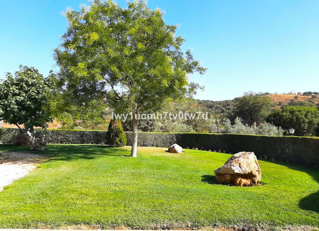 Finca - Cortijo Archidona Málaga - imagen 13