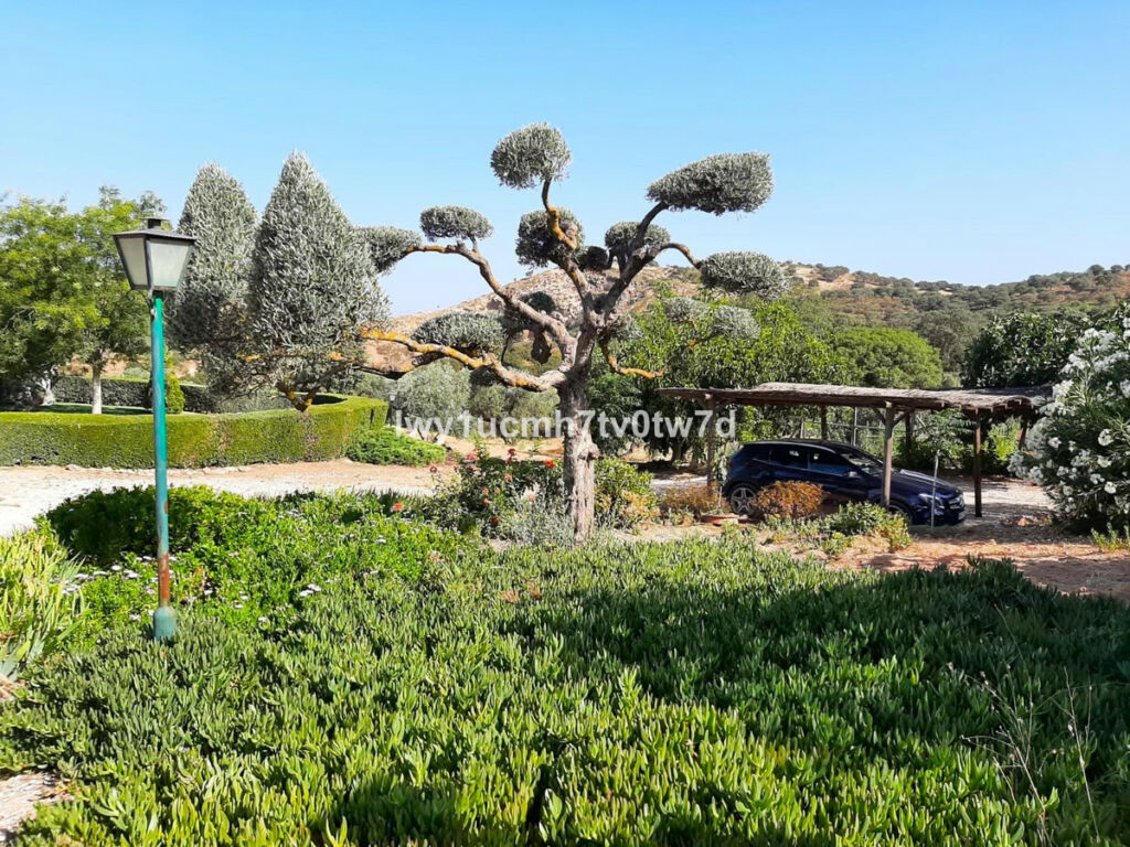 Finca - Cortijo Archidona Málaga - imagen 14