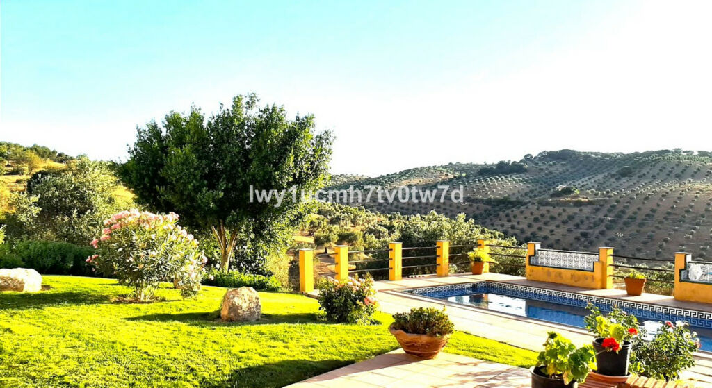 Finca - Cortijo Archidona Málaga - imagen 15