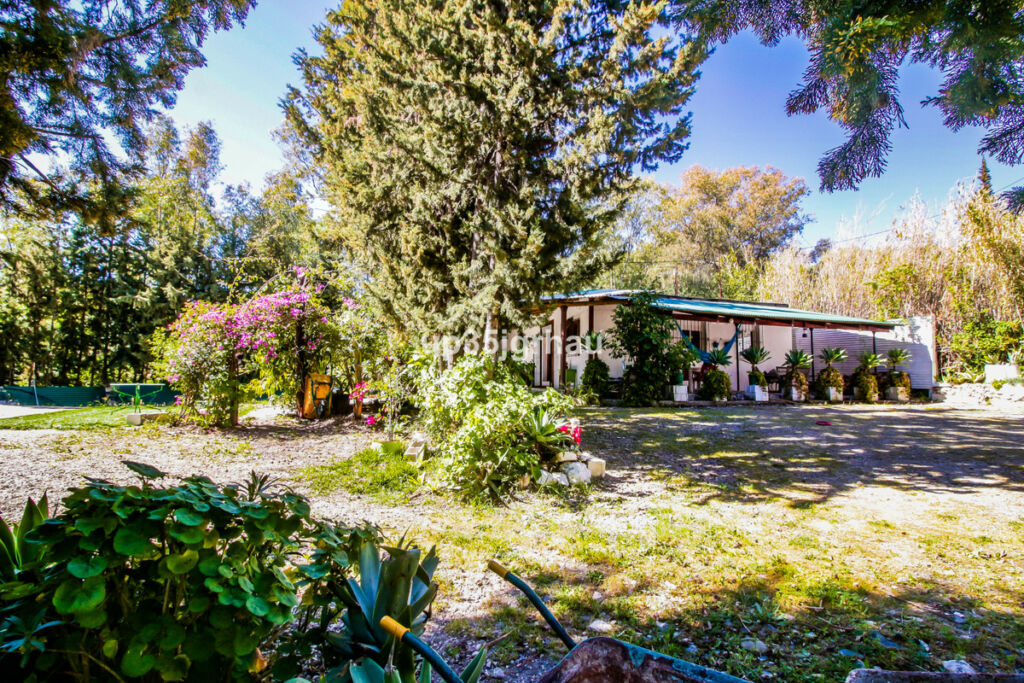 Detached Villa Gaucín Málaga - imagen 15