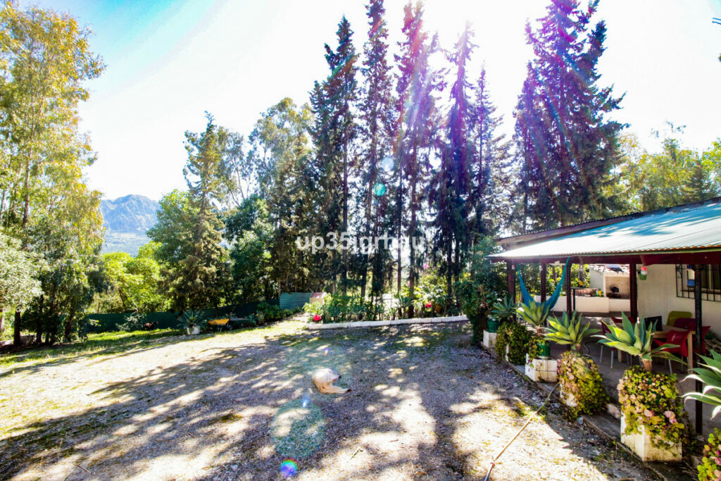 Detached Villa Gaucín Málaga - imagen 16