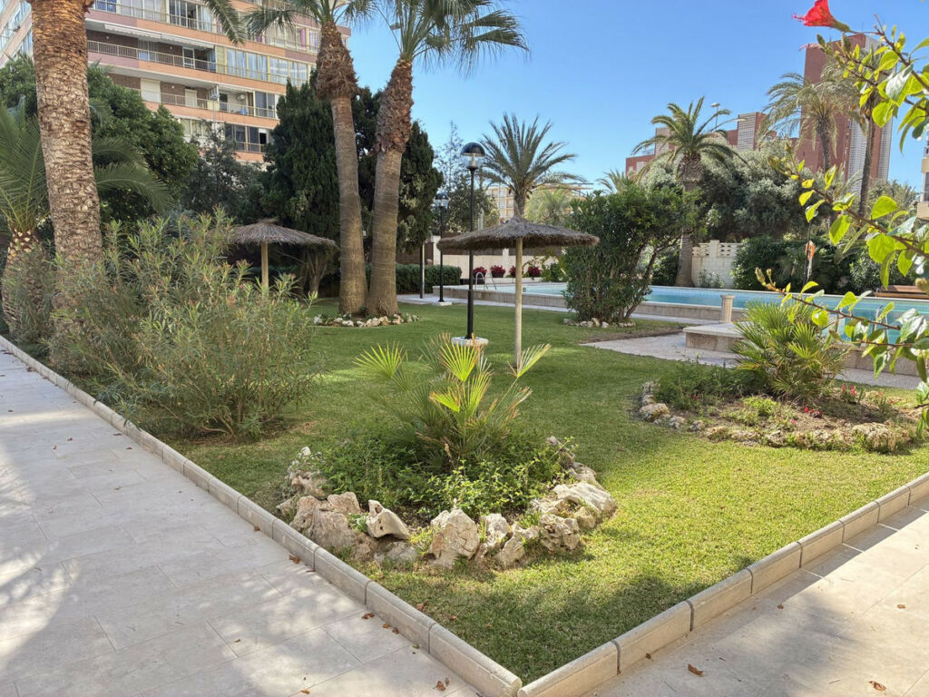 Middle Floor Apartment Playa de San Juan Alicante - imagen 2