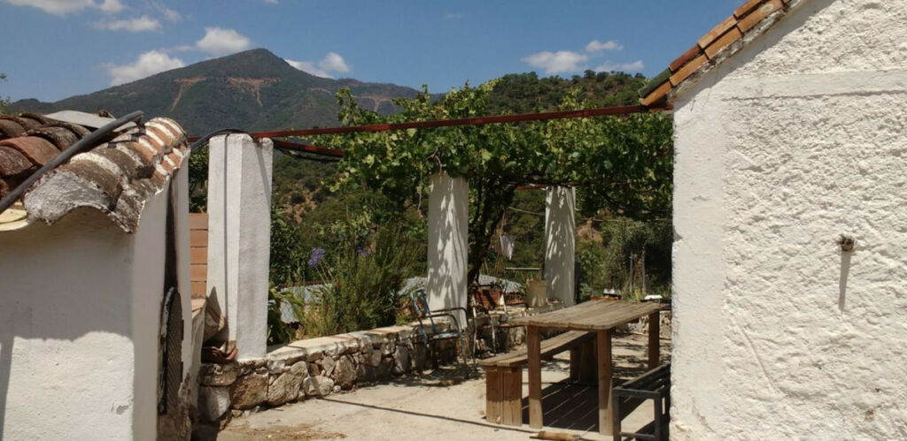 Finca - Cortijo Istán Málaga - imagen 2