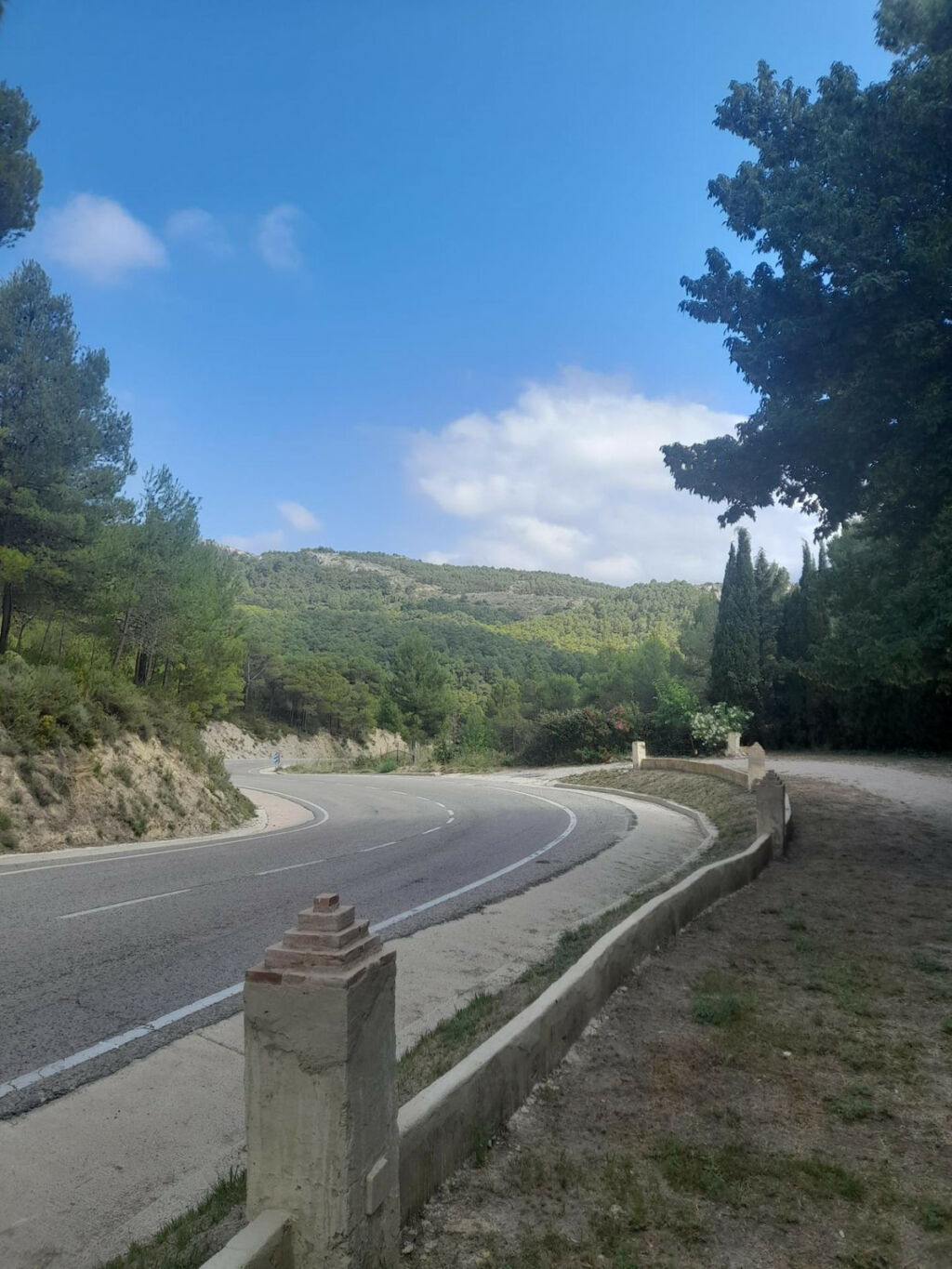 Finca - Cortijo Confrides Alicante - Bild 25