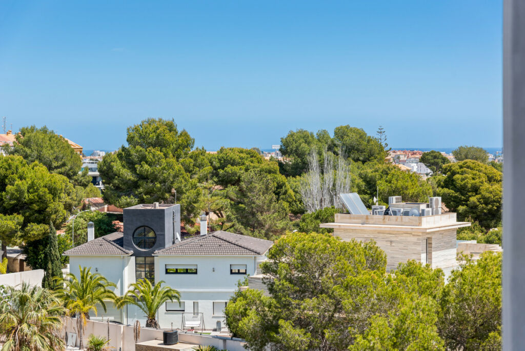 Middle Floor Apartment Campoamor Alicante - imagen 28