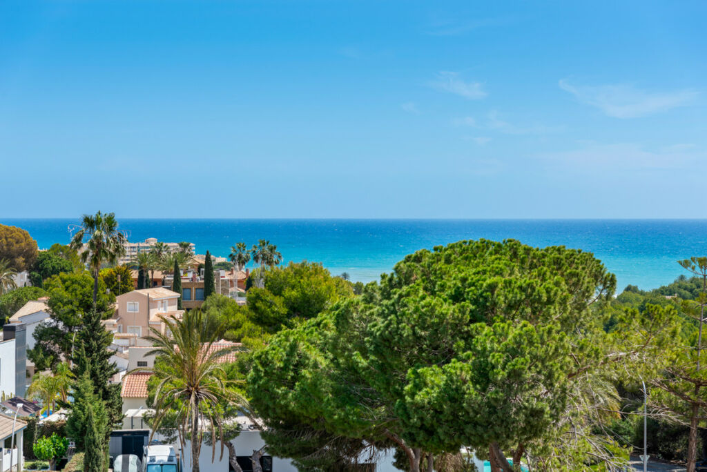 Middle Floor Apartment Campoamor Alicante - imagen 3