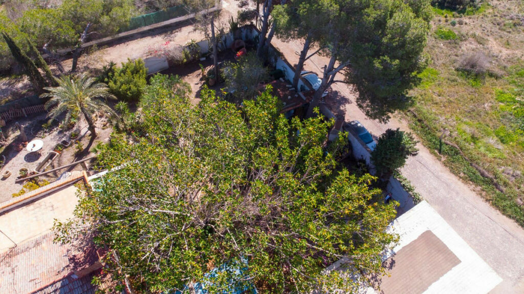 Detached Villa Lomas de Cabo Roig Alicante - zdjęcie 32