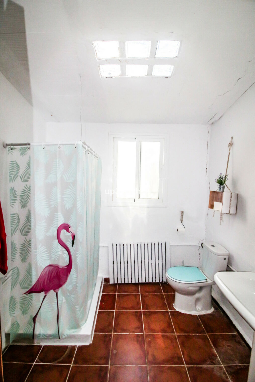 Detached Villa Gaucín Málaga - imagen 34
