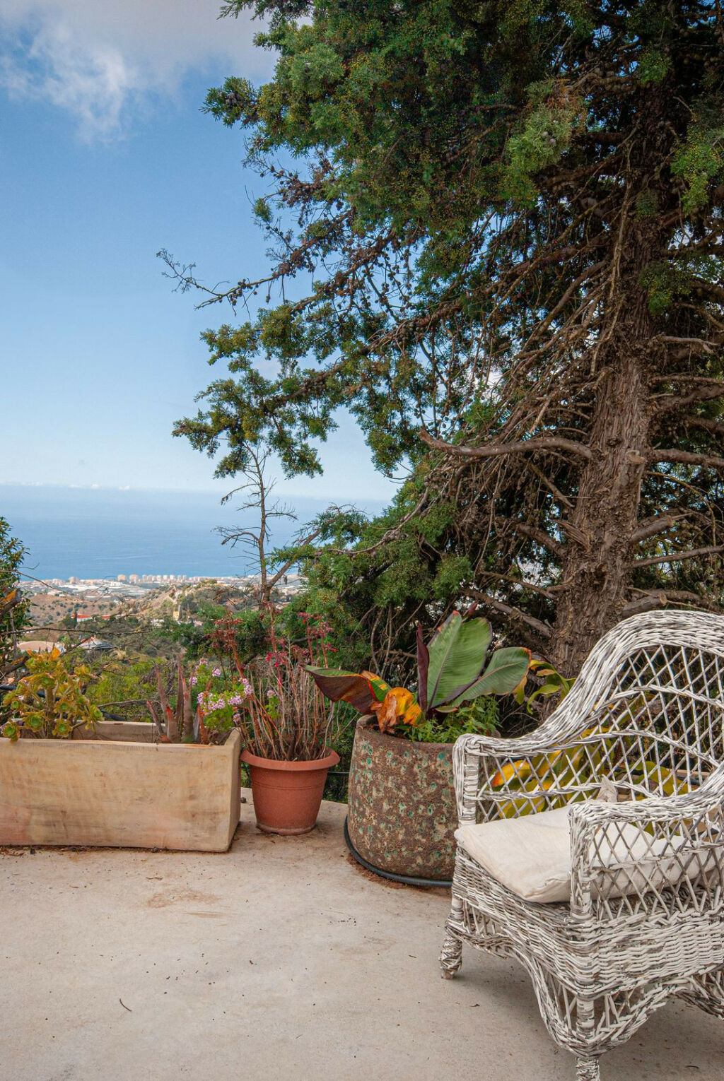 Detached Villa Sayalonga Málaga - imagen 35