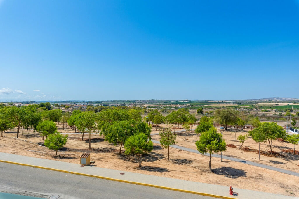Detached Villa Benijofar Alicante - image 37