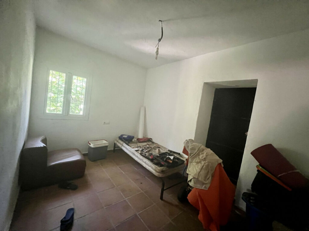 Finca - Cortijo Istán Málaga - imagen 4