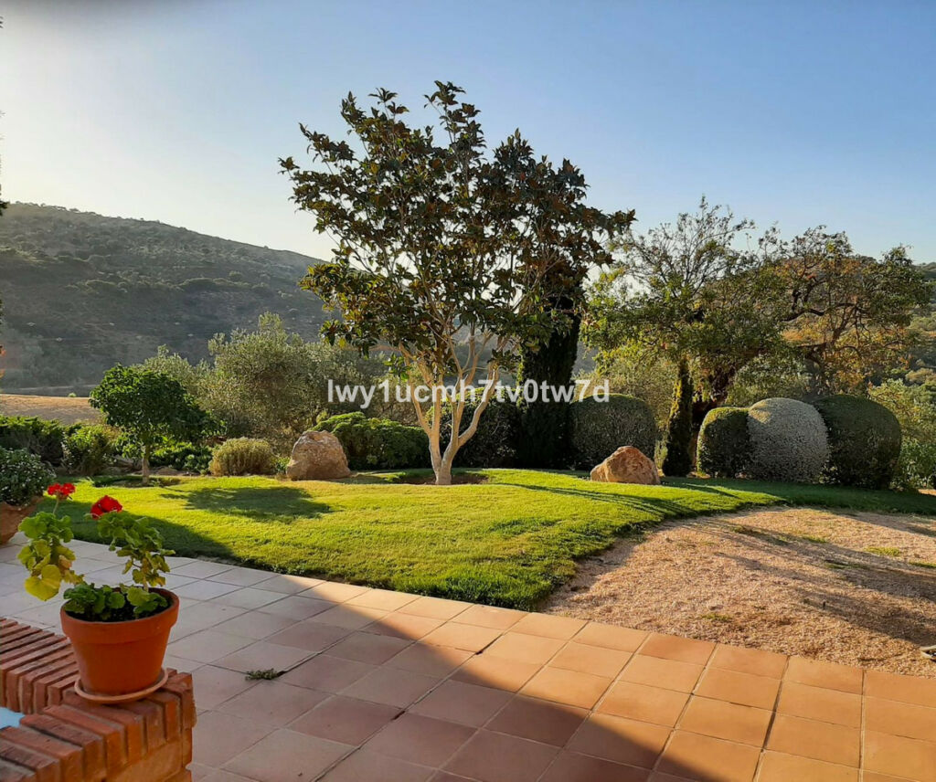 Finca - Cortijo Archidona Málaga - imagen 4