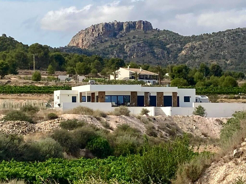 Detached Villa Aspe Alicante - image 4