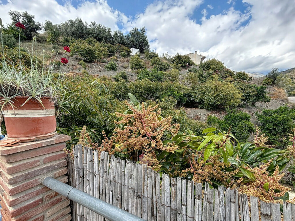 Detached Villa La Viñuela Málaga - imagen 49