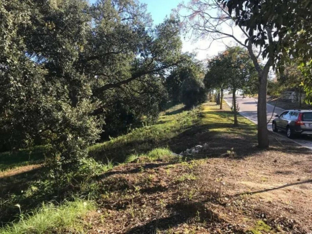 Residential Plot Sotogrande Alto Cádiz - zdjęcie 6