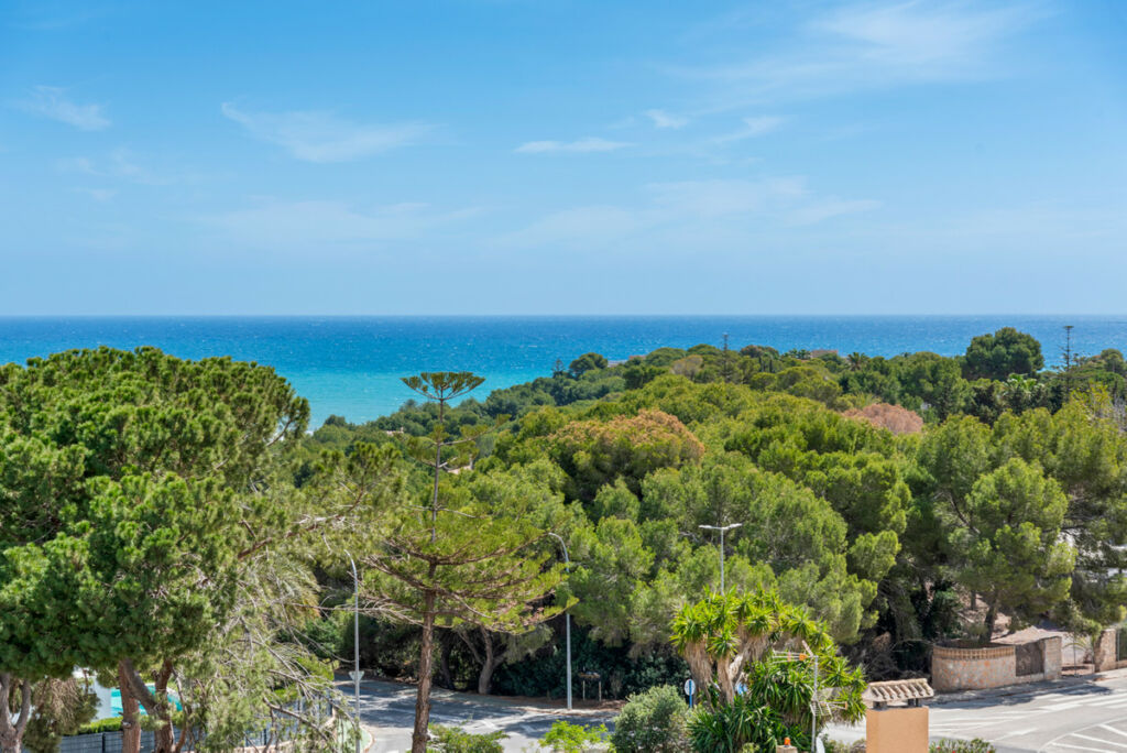 Middle Floor Apartment Campoamor Alicante - imagen 6