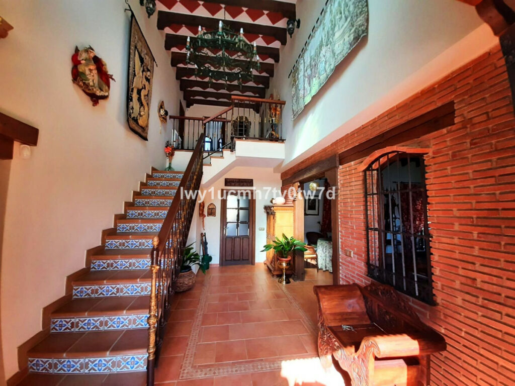 Finca - Cortijo Archidona Málaga - imagen 7