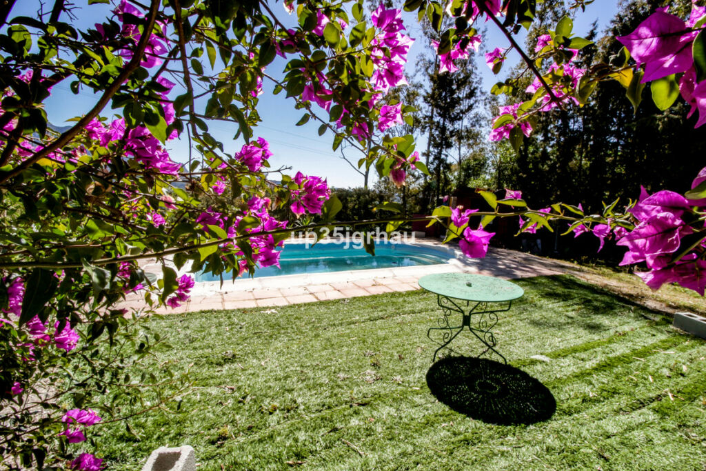 Detached Villa Gaucín Málaga - imagen 8
