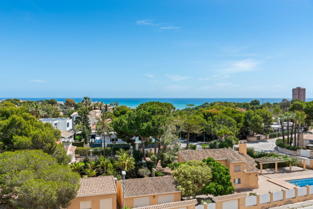 Middle Floor Apartment Campoamor Alicante - imagen 9