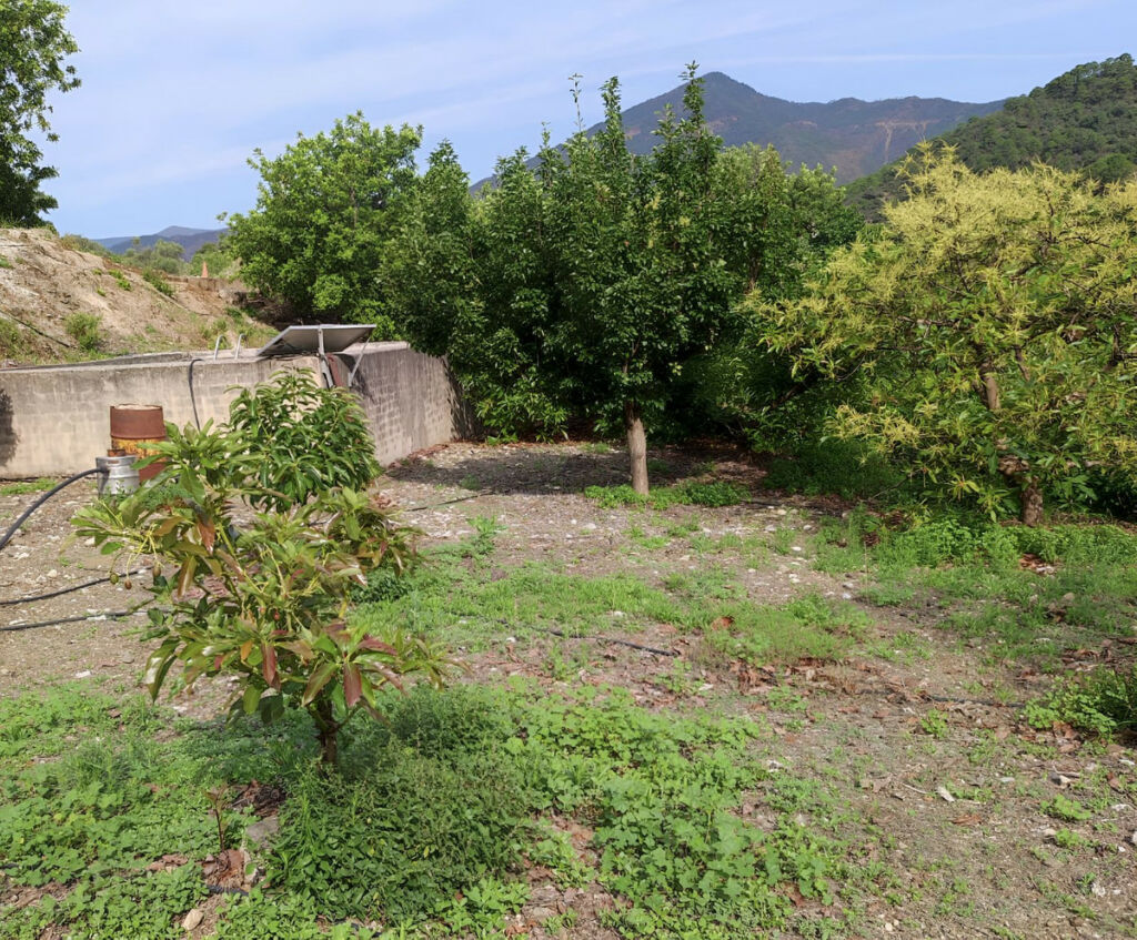 Finca - Cortijo Istán Málaga - imagen 15