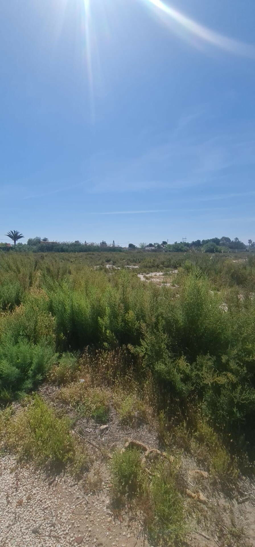 Land La Hoya Alicante - zdjęcie 10