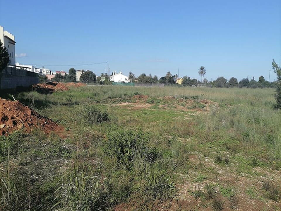 Land El Verger Alicante - Bild 10
