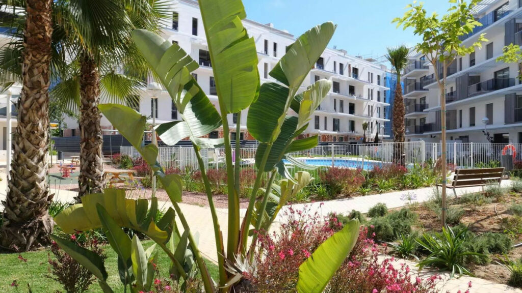 Top Floor Apartment Denia Alicante - imagen 14
