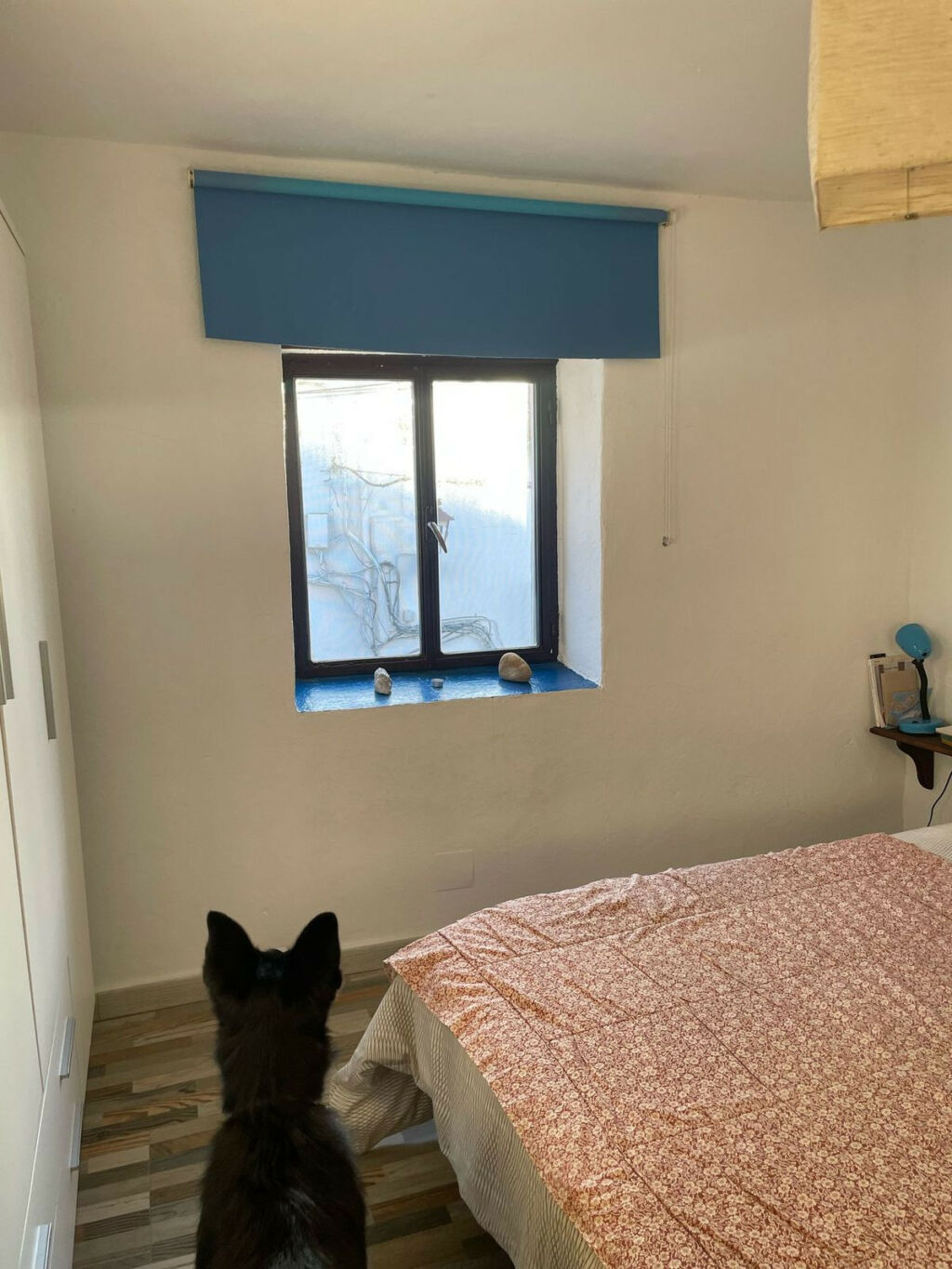 Townhouse Jimena de la Frontera Cádiz - imagen 15