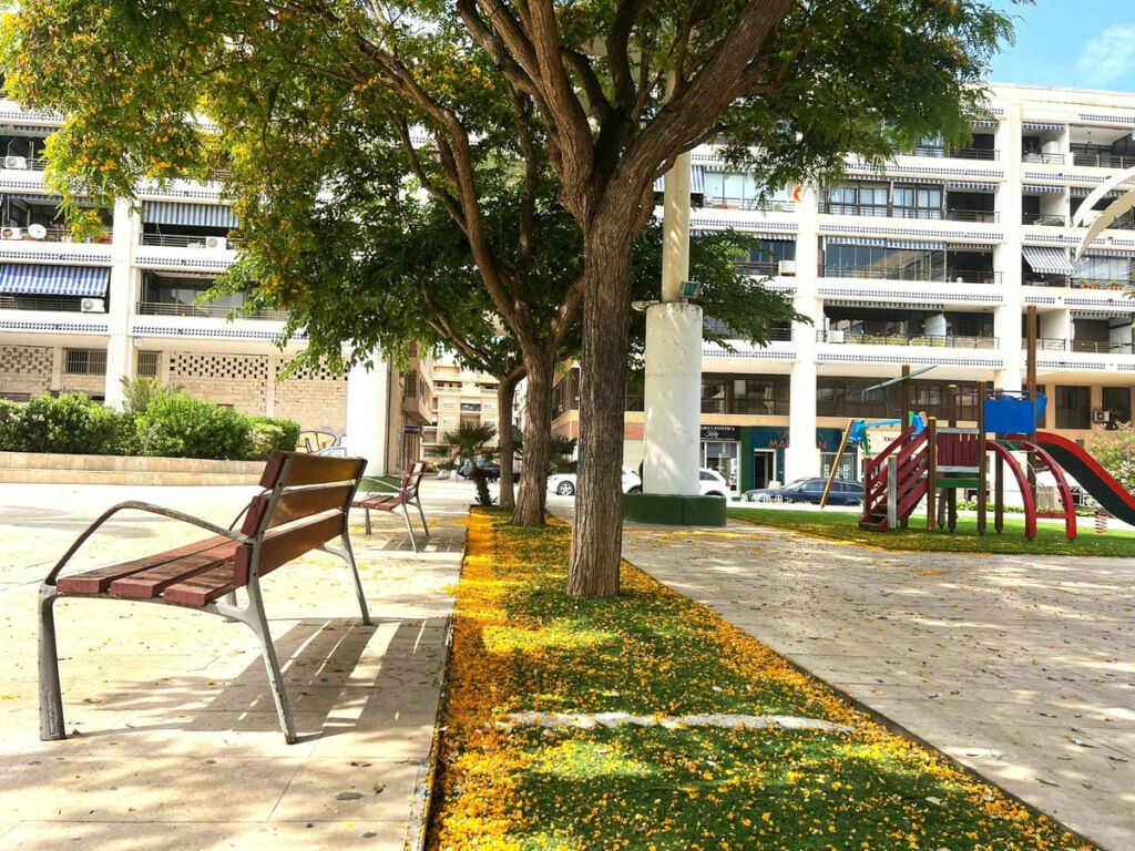 Middle Floor Apartment Guardamar del Segura Alicante - Bild 17