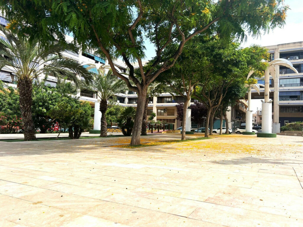 Middle Floor Apartment Guardamar del Segura Alicante - Bild 18