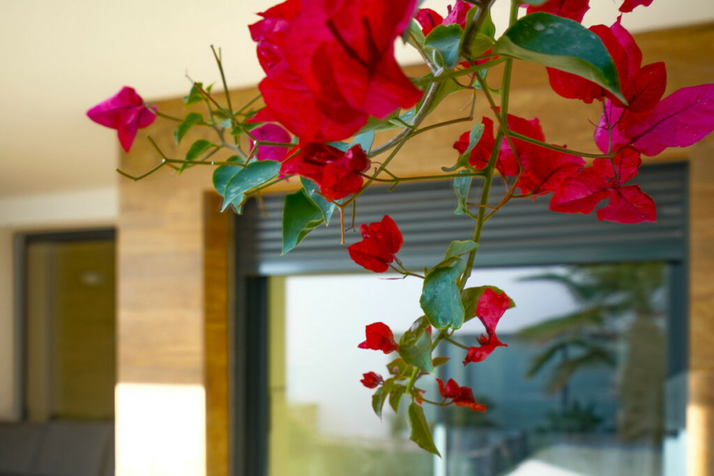 Ground Floor Apartment Benitachell Alicante - imagen 25