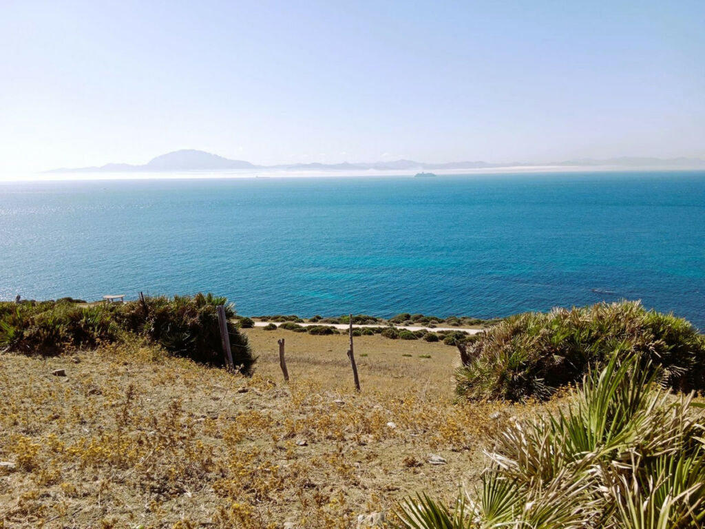 Land Tarifa Cádiz - imagen 29