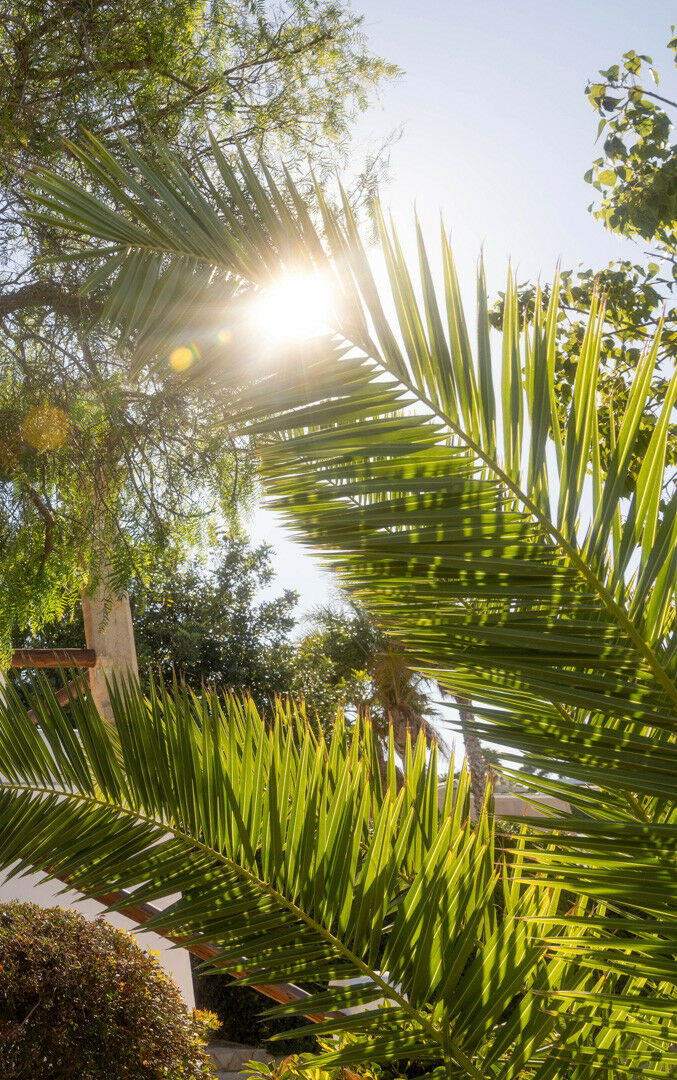 Detached Villa Javea Alicante - imagen 36