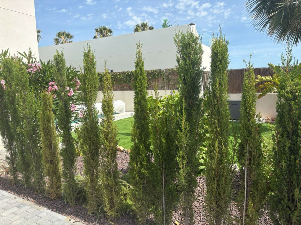 Detached Villa La Finca Golf Alicante - imagen 6