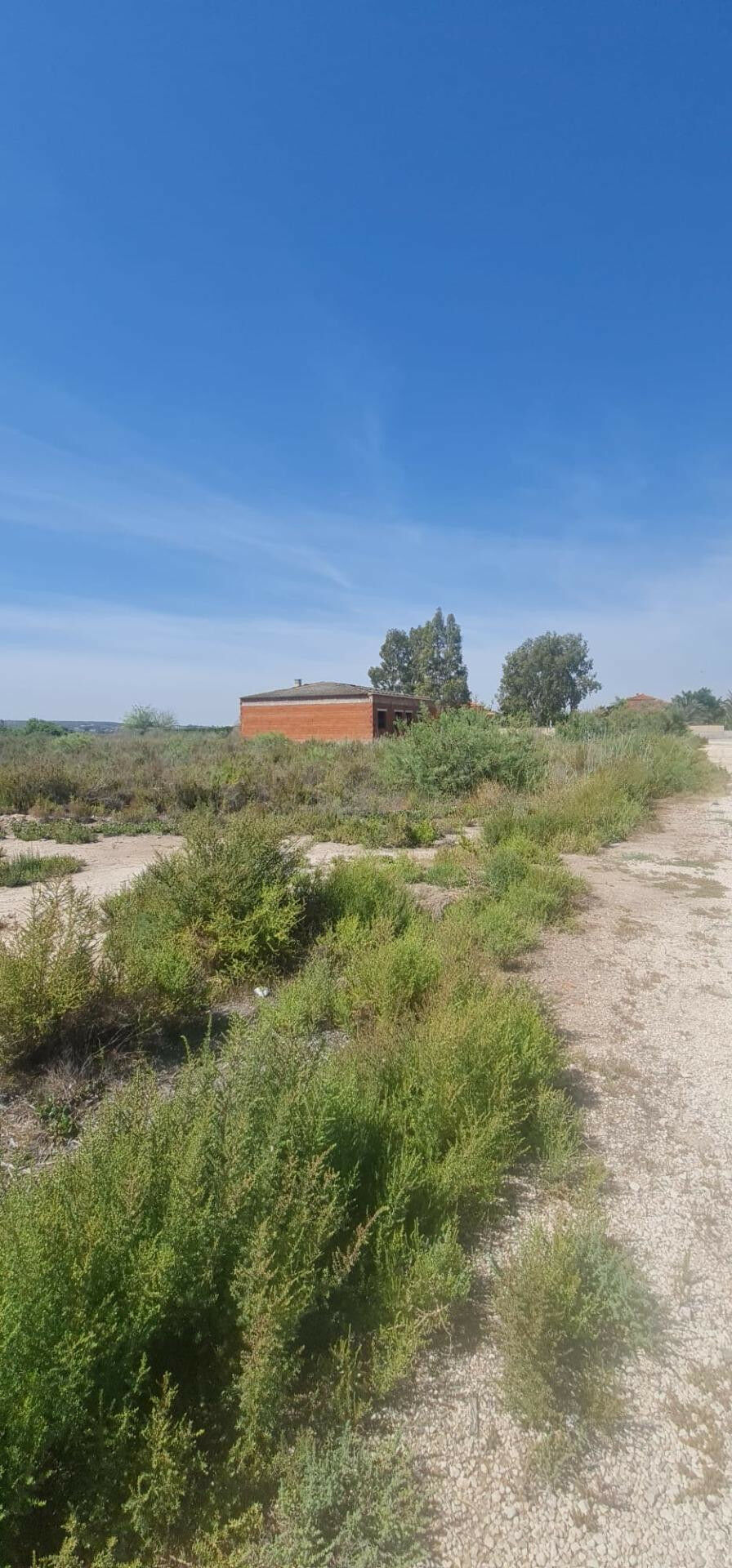 Land La Hoya Alicante - zdjęcie 4