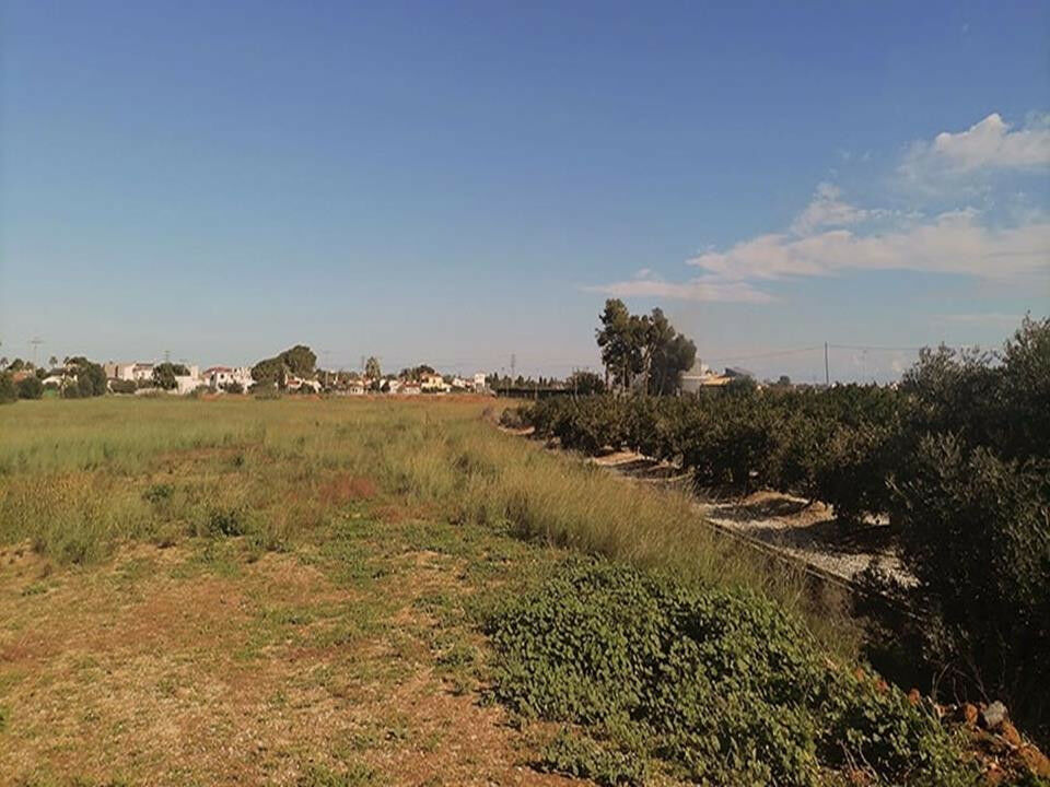 Land El Verger Alicante - Bild 5