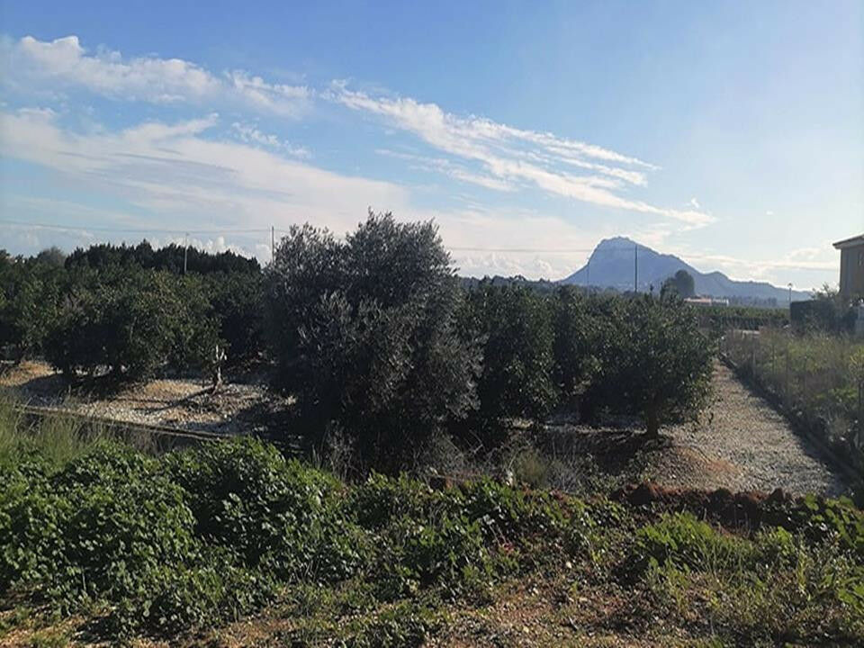 Land El Verger Alicante - Bild 6