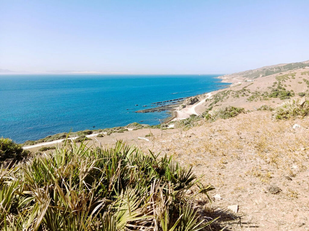 Land Tarifa Cádiz - imagen 8