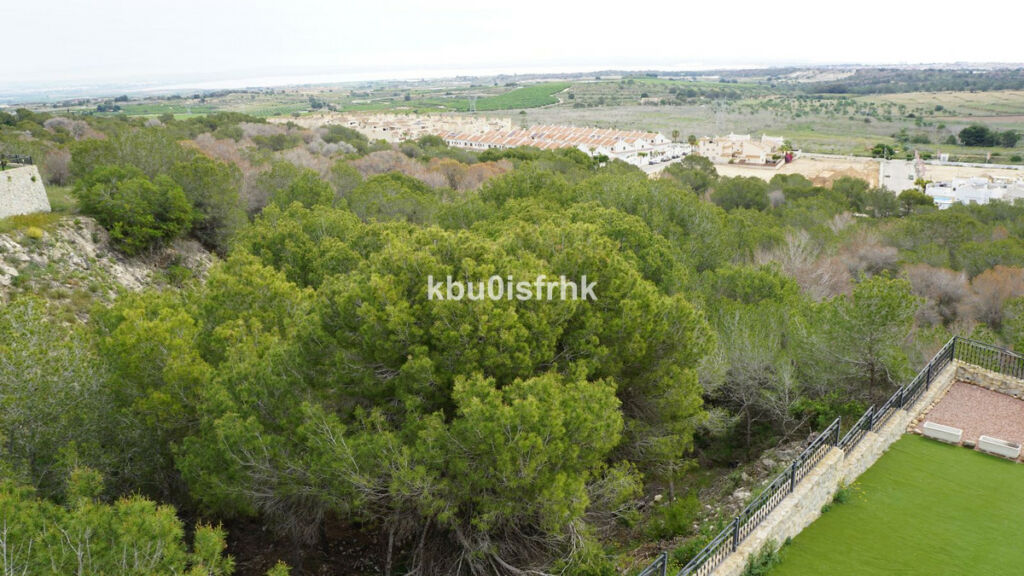 Detached Villa San Miguel de Salinas Alicante - image 83