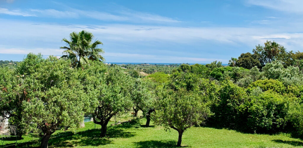 Detached Villa Sella Alicante - imagen 9